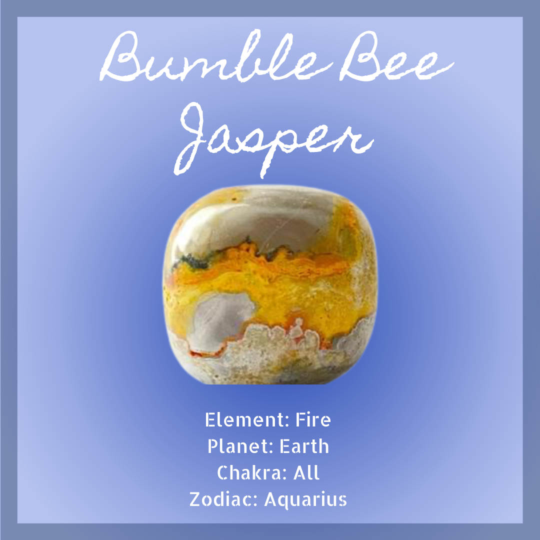 Bumble Bee Jasper