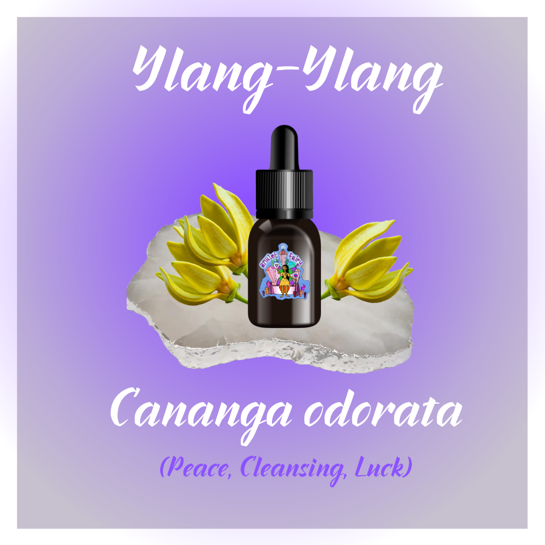 Ylang-Ylang (Cananga Odorata)