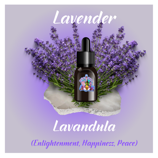 Lavender Essential Oil