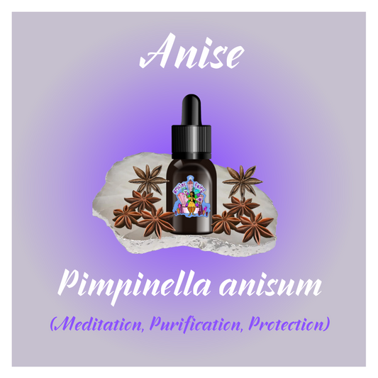 Anise Essential Oil