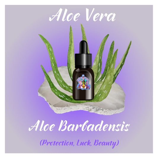 Aloe Vera Oil (Aloe Barbadensis)