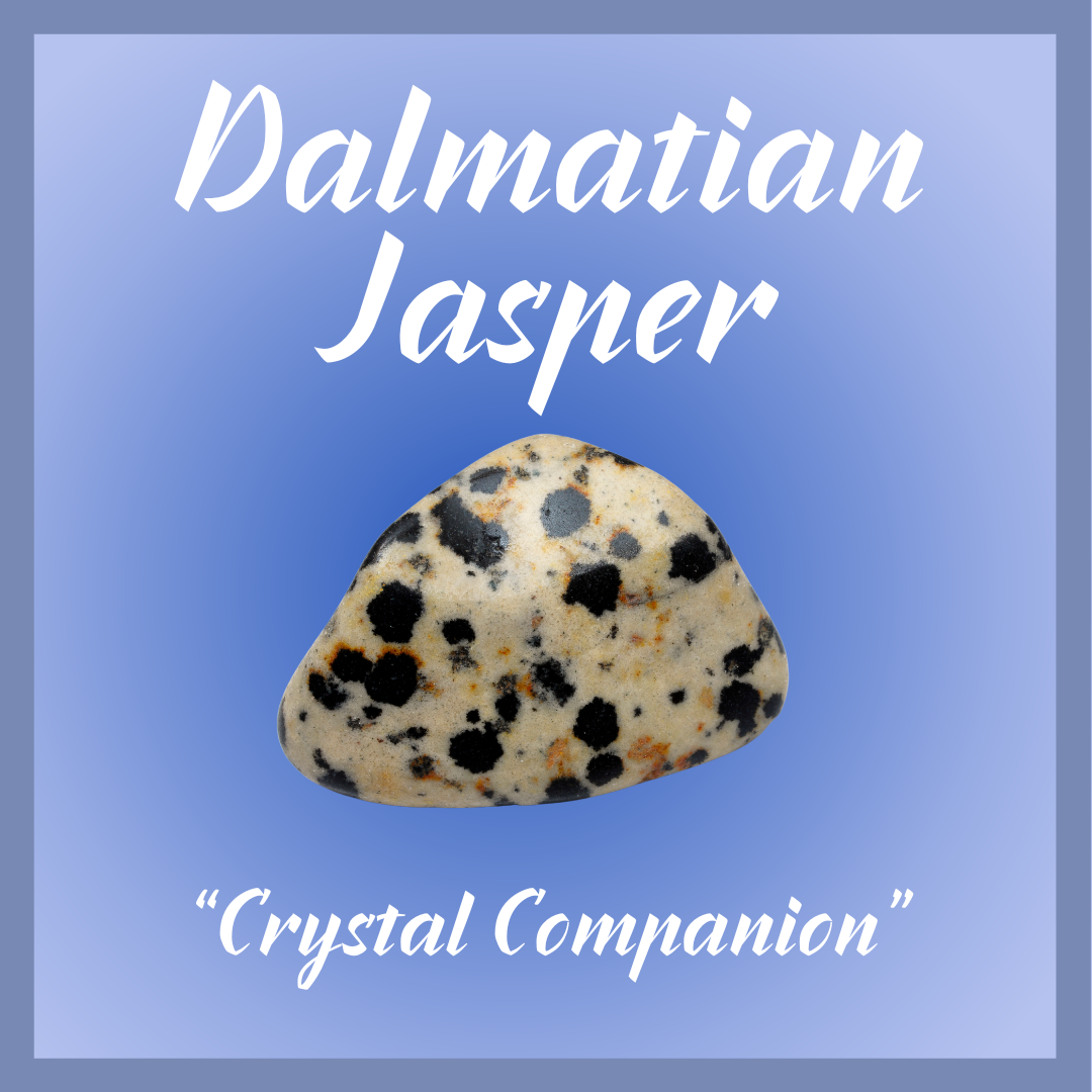 Dalmation Jasper "Crystal Companion"