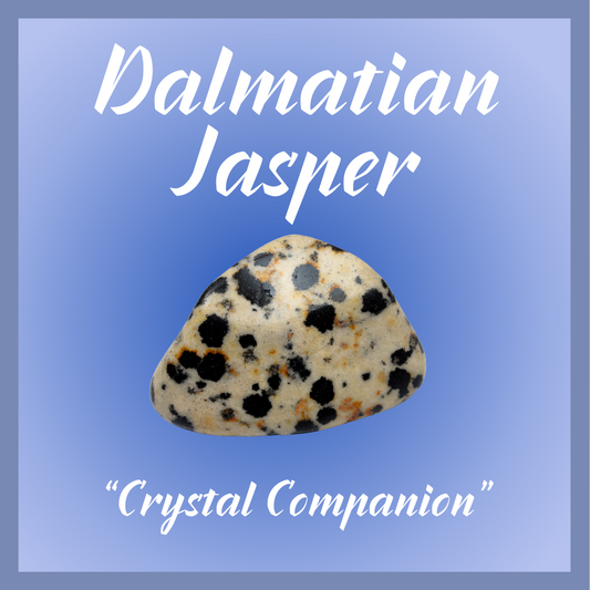 Dalmation Jasper "Crystal Companion"