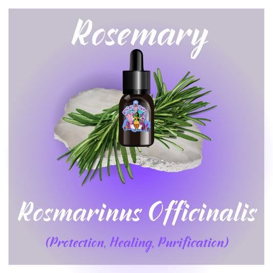 Rosemary Essential Oil (Rosmarinus Officinalis)