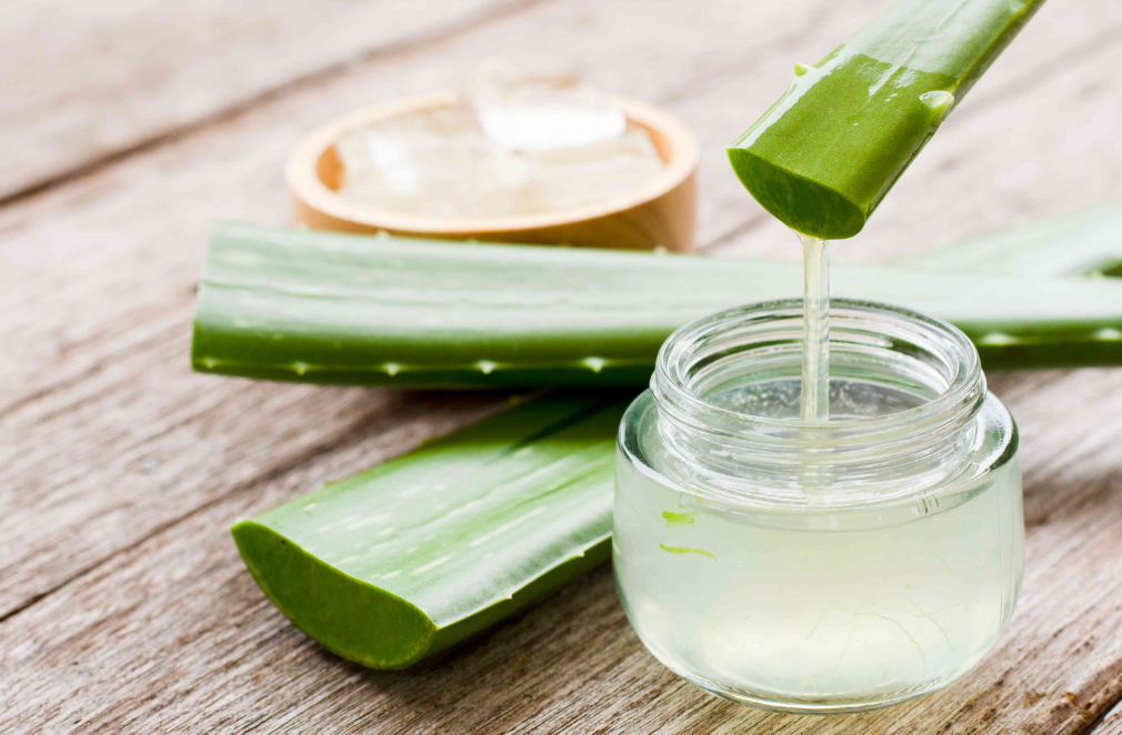 Aloe Vera Oil (Aloe Barbadensis)