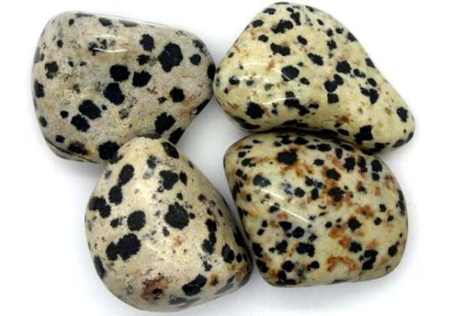 Dalmation Jasper "Crystal Companion"