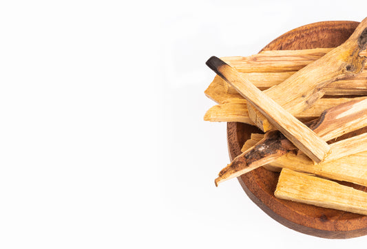 Palo Santo "Holy Wood"