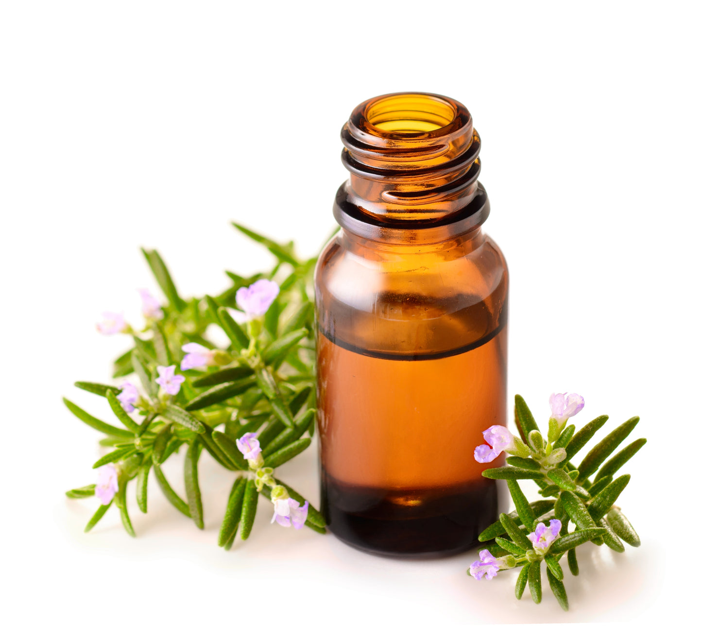 Rosemary Essential Oil (Rosmarinus Officinalis)